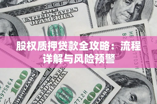 武汉股权质押贷款全攻略：流程详解与风险预警