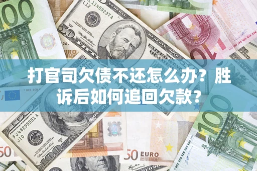 武汉打官司欠债不还怎么办？胜诉后如何追回欠款？