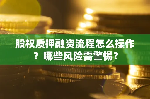武汉股权质押融资流程怎么操作？哪些风险需警惕？