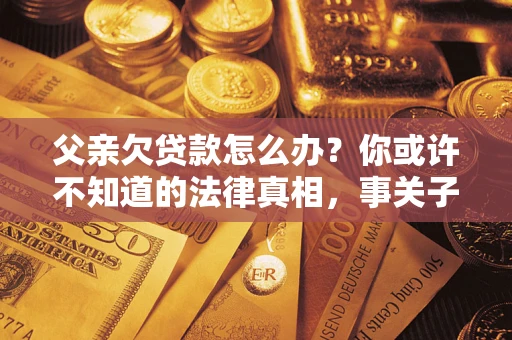 武汉父亲欠贷款怎么办？你或许不知道的法律真相，事关子女未来