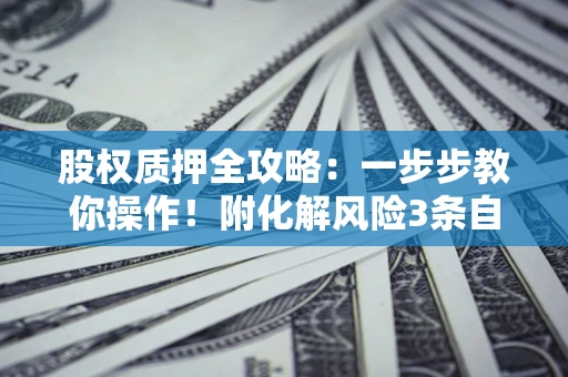 武汉股权质押全攻略：一步步教你操作！附化解风险3条自救法则