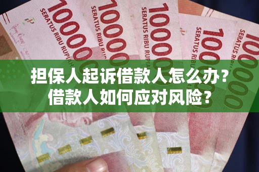 武汉担保人起诉借款人怎么办？借款人如何应对风险？