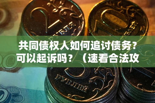 武汉共同债权人如何追讨债务？可以起诉吗？（速看合法攻略）