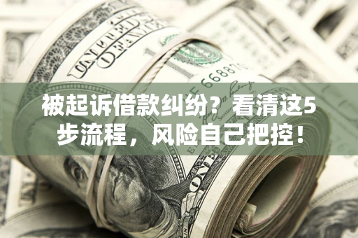 武汉被起诉借款纠纷？看清这5步流程，风险自己把控！