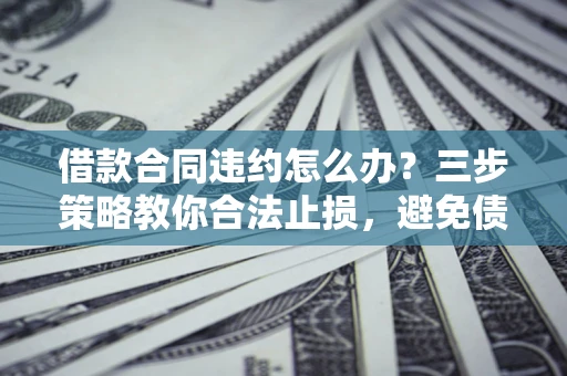 武汉借款合同违约怎么办？三步策略教你合法止损，避免债务危机升级