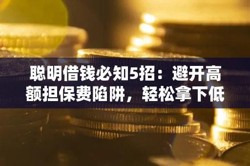 武汉聪明借钱必知5招：避开高额担保费陷阱，轻松拿下低息贷款